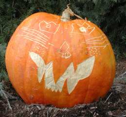 Big Cat Pumpkin ,  Nipomo Pumpkin Patch, carving idea